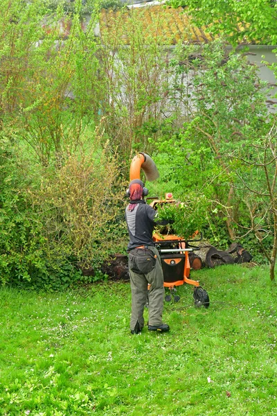 Verneuil Sur Seine França Abril 2022 Jardineiro Está Esmagando Ramo — Fotografia de Stock