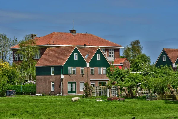 Marken Mei 2022 Het Pittoreske Dorpje — Stockfoto