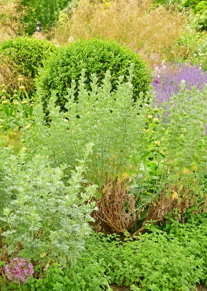 London England June 2022 Kensington Palace Park — Foto de Stock