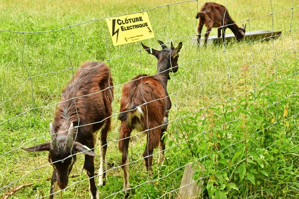 Jouy Moutier France July 2022 Ecancourt Farm Royalty Free Stock Images