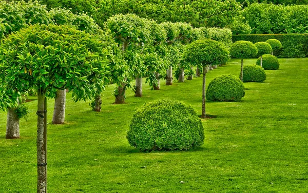 Penshurst England June 2022 Penshurst Place Kent — Stock Photo, Image