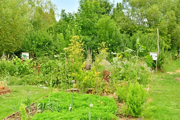 Jouy Moutier France July 2022 Ecancourt Farm — Stock Photo, Image