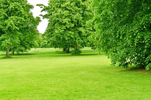 London England June 2022 Hyde Park Summer — Fotografia de Stock