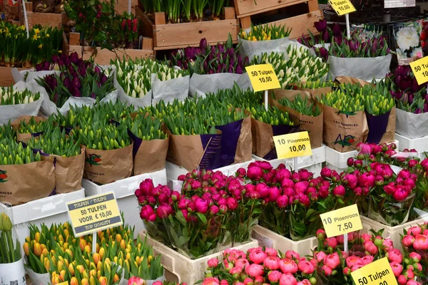 Amsterdam Netherlands May 2022 Flower Market — Stok fotoğraf