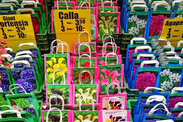 Amsterdam Netherlands May 2022 Flower Market —  Fotos de Stock