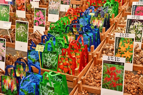 Amsterdam Netherlands May 2022 Flower Market — Stock fotografie