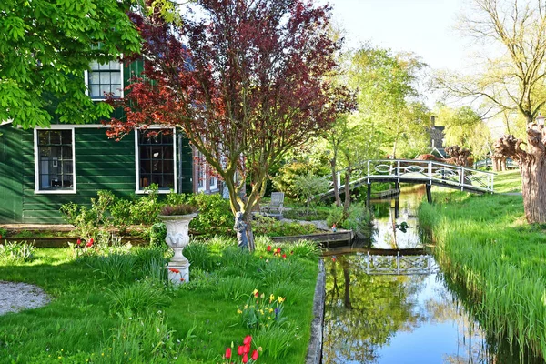 Zaanse Schans Netherlands May 2022 Picturesque Historical Village — Stock fotografie