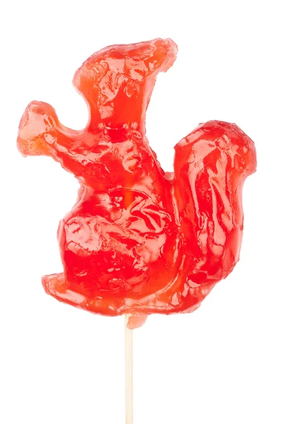 Squirrel shape lollipop — Stock Photo, Image