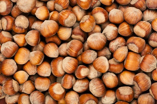 Halda lískových ořechů — Stock fotografie