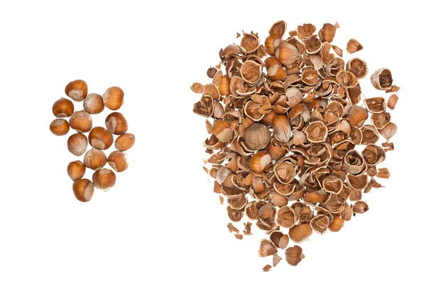 Nuts and empty nutshells — Stock Photo, Image