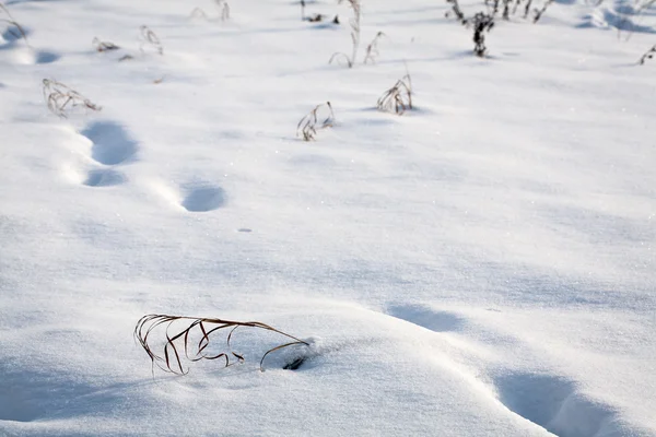 Ayak izleri ile kar doku — Stok fotoğraf