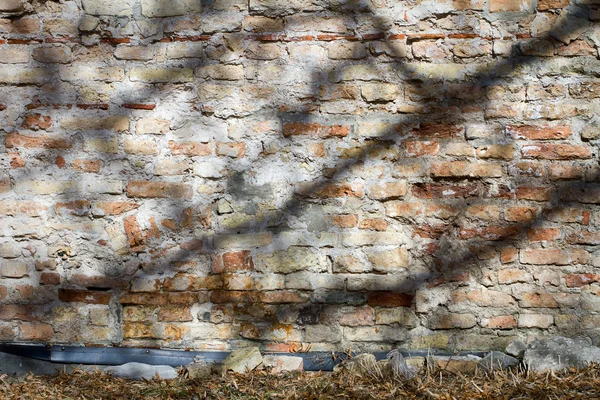 Alte Mauer — Stockfoto