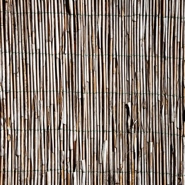 Old bamboo fence — Stock Photo, Image