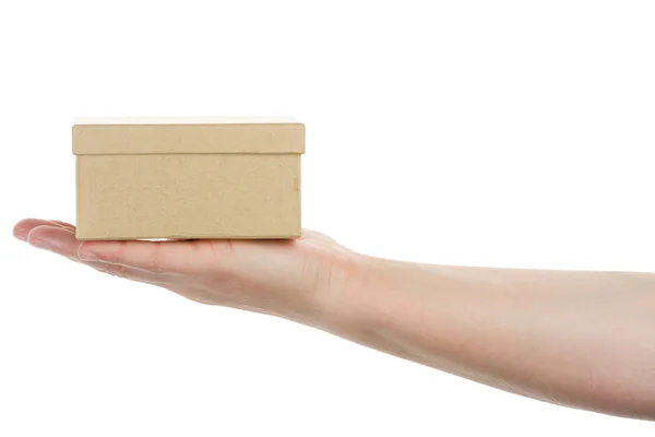 Hand holding cardboard box — Stock Photo, Image