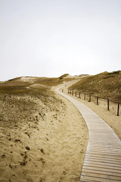 Chemin en bois — Photo