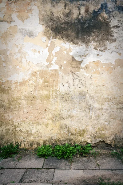 Oude stenen muur — Stockfoto