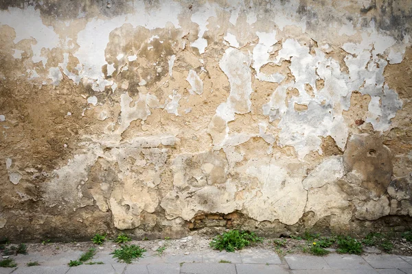 Vecchio muro di mattoni — Foto Stock