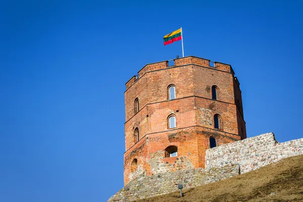 Torre di Gediminas — Foto Stock