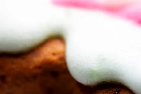 Extremes Makro Aus Glasiertem Lebkuchen Selektiver Fokus Geringe Schärfentiefe — Stockfoto