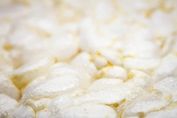 Extreme Close Diet Rice Cracker Texture Shallow Depth Field Selective — Stock fotografie