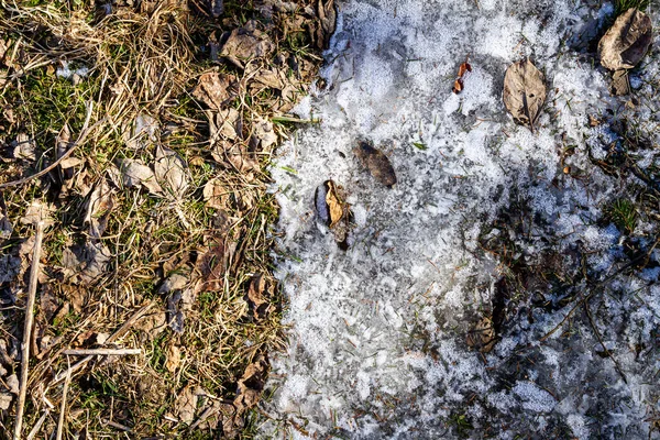 Spring Ground Covered Thawing Snow Melting Ice Dry Grass Close — Stok fotoğraf