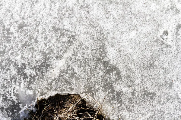 Spring Ground Covered Thawing Snow Melting Ice Dry Grass Close — Stok fotoğraf