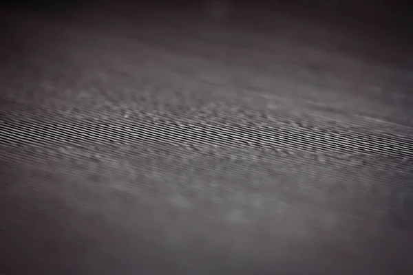 Макро Кадр Черного Винила Поверхность Старой Виниловой Пластинки Мелководная Впадина — стоковое фото