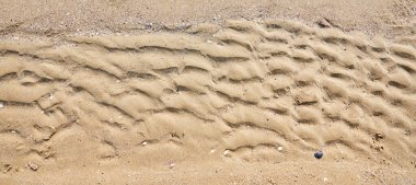 Kum dokusu. Denizin dibindeki kum. Dalgalar şeklinde deniz kumu tabanı.