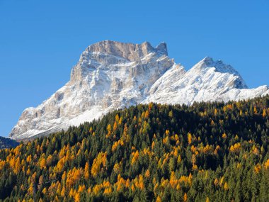Monte Pelmo 'nun görüntüsü S. Vito di Cadore, Belluno bölgesi, Veneto, İtalya, Avrupa. Boite Vadisi 'ndeki Monte Pelmo eteğindeki ormandaki sonbahar yapraklarının yansıması, Dolomitler..