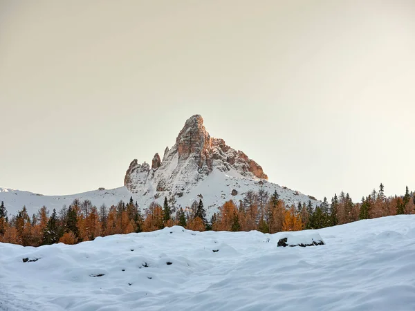 Dolomitlerin Ormanlarında Sonbahar Yaprakları Cortina Ampezzo Daki Monte Becco Mezzod — Stok fotoğraf