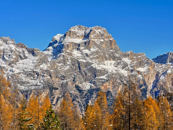 Follaje Otoño Los Bosques Los Dolomitas Con Vistas Monte Becco — Foto de Stock