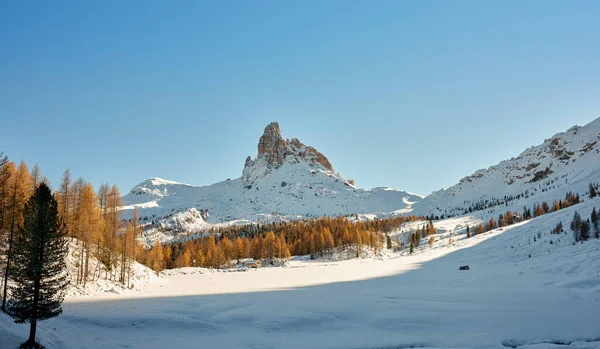 Dolomitlerin Ormanlarında Sonbahar Yaprakları Cortina Ampezzo Daki Monte Becco Mezzod — Stok fotoğraf