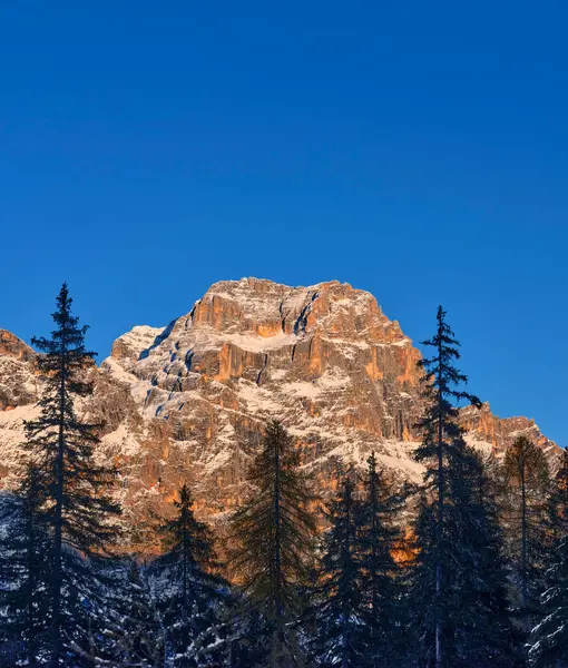 Dolomitlerin Ormanlarında Sonbahar Yaprakları Cortina Ampezzo Daki Monte Becco Mezzod — Stok fotoğraf