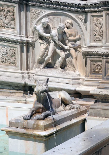 Fuente de alegría detalle, Siena, Italia — Foto de Stock