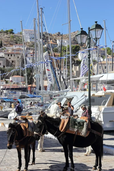 Transport i hydra island, Grekland — Stockfoto