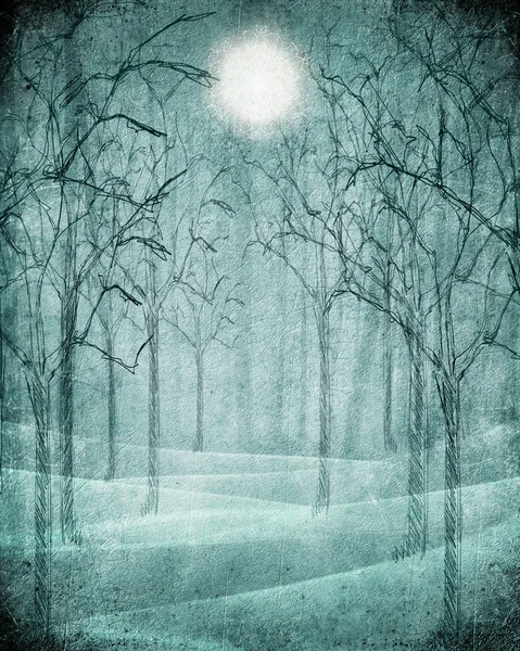 무서운 숲 그림 — 스톡 사진