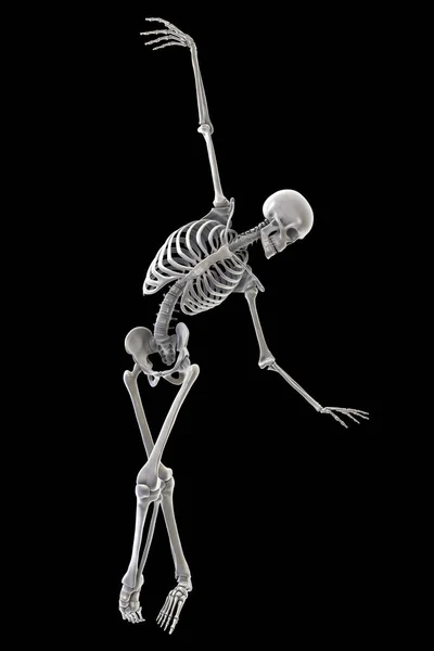 舞者的解剖学计算机图解芭蕾舞中的骷髅在芭蕾舞中表现出骨骼活动的芭蕾舞中的骷髅 — 图库照片