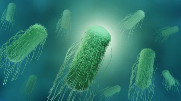 Bakterie Salmonely Ilustrace Salmonella Patogenní Bakterie Která Může Způsobit Otravu — Stock fotografie