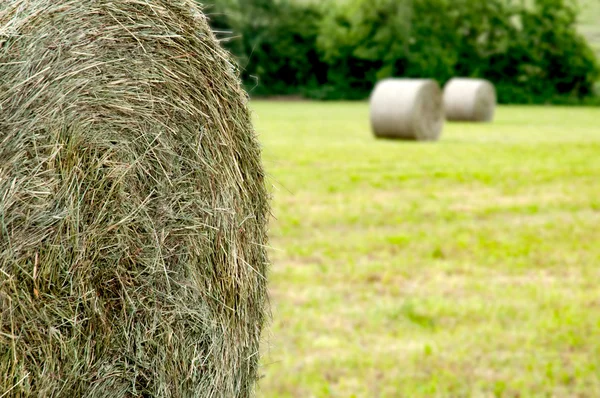 Hay roll foreground and background 2 hay rolls — Stock Photo, Image