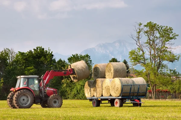 Tractor lifting hay bale on barrow — Stock Photo, Image