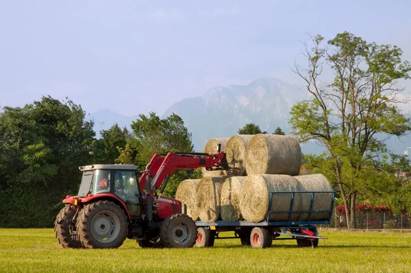 Tractor putting hay bale on barrow — Stock Photo, Image