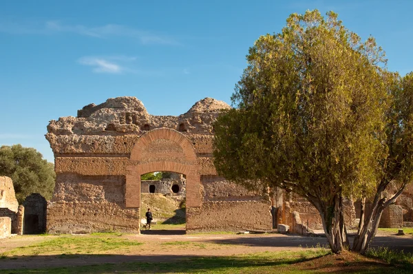 Roman ruins and tree at Villa Adriana — Stockfoto