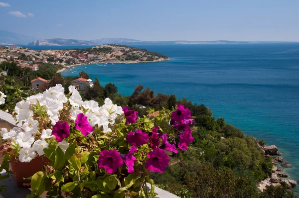 Panoramisch uitzicht van stara baska zee en bloemen - krk - Kroatië — Stockfoto