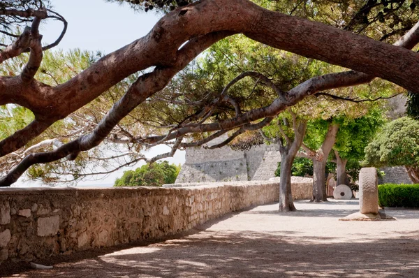 Bajo los árboles en la plaza cerca de la fortaleza de Frankopan en Krk - Croat —  Fotos de Stock