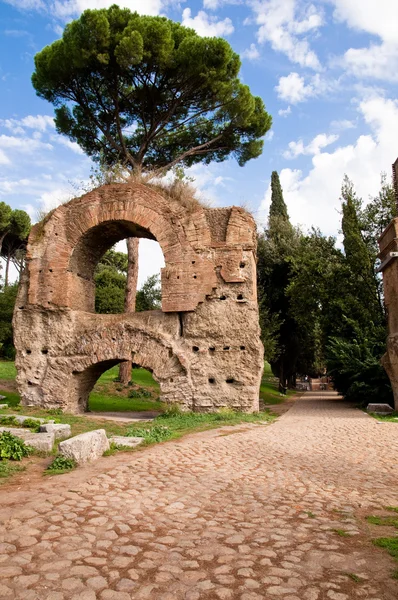 Ruinerna från acquedotto claudio och sten gatan i palatine hill — Stockfoto
