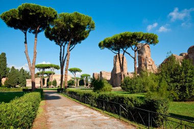 pad en bomen van caracalla springs in rome