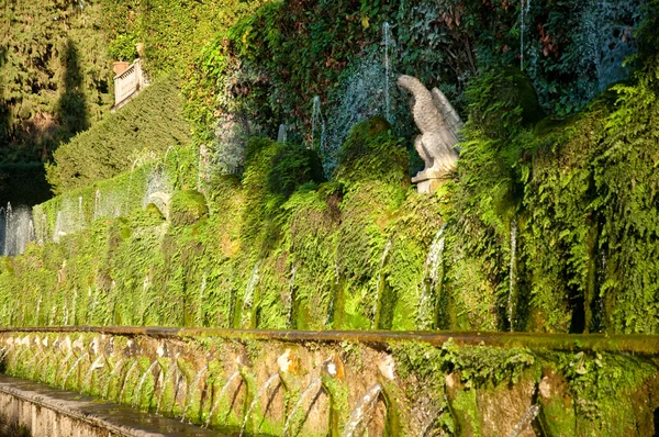 Cento Фонтане Близький вид в Villa D-Есте в Tivoli - Рим — стокове фото