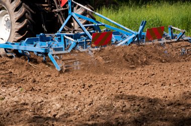 vibrocultor alan portre üzerinde çalışma