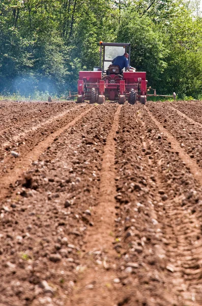 Trator velho com semeador trabalhando em campos vista de longe para baixo — Fotografia de Stock