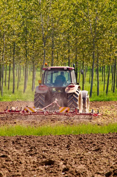 Roter Traktor mit Rüttler auf Feldern Rückansicht — Stockfoto